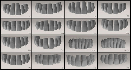 Anteriores 3D Tooth Library Package